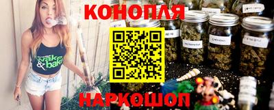 mdpv Краснознаменск