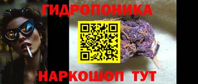 mdpv Краснознаменск